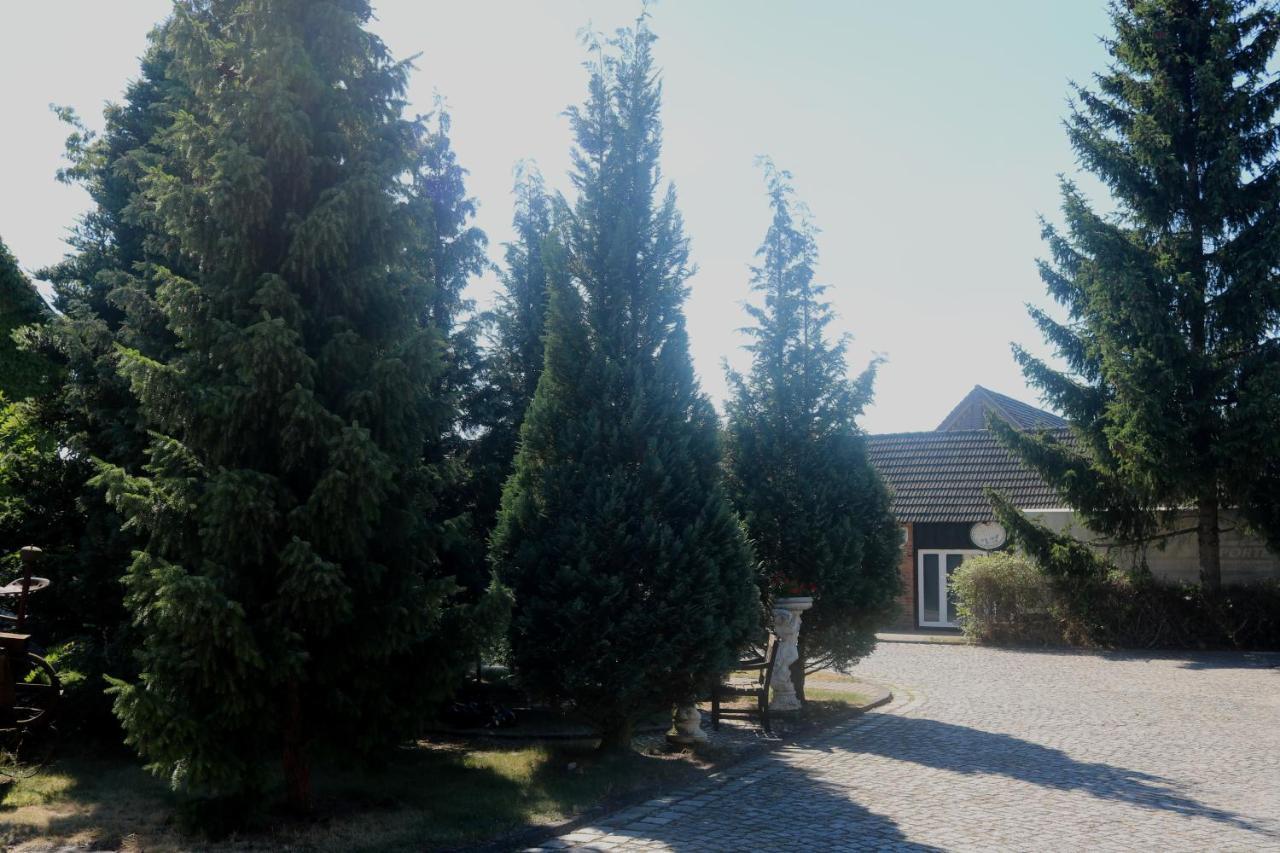 Spreewaldhotel Garni Raddusch Vetschau/Spreewald Exterior foto